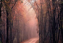 探秘天涯蓬莱鬼话十大神贴：那些吓哭网友的网络传说