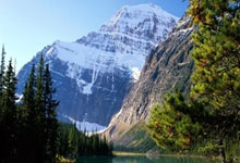 我叫造价工程师证考友天涯论坛